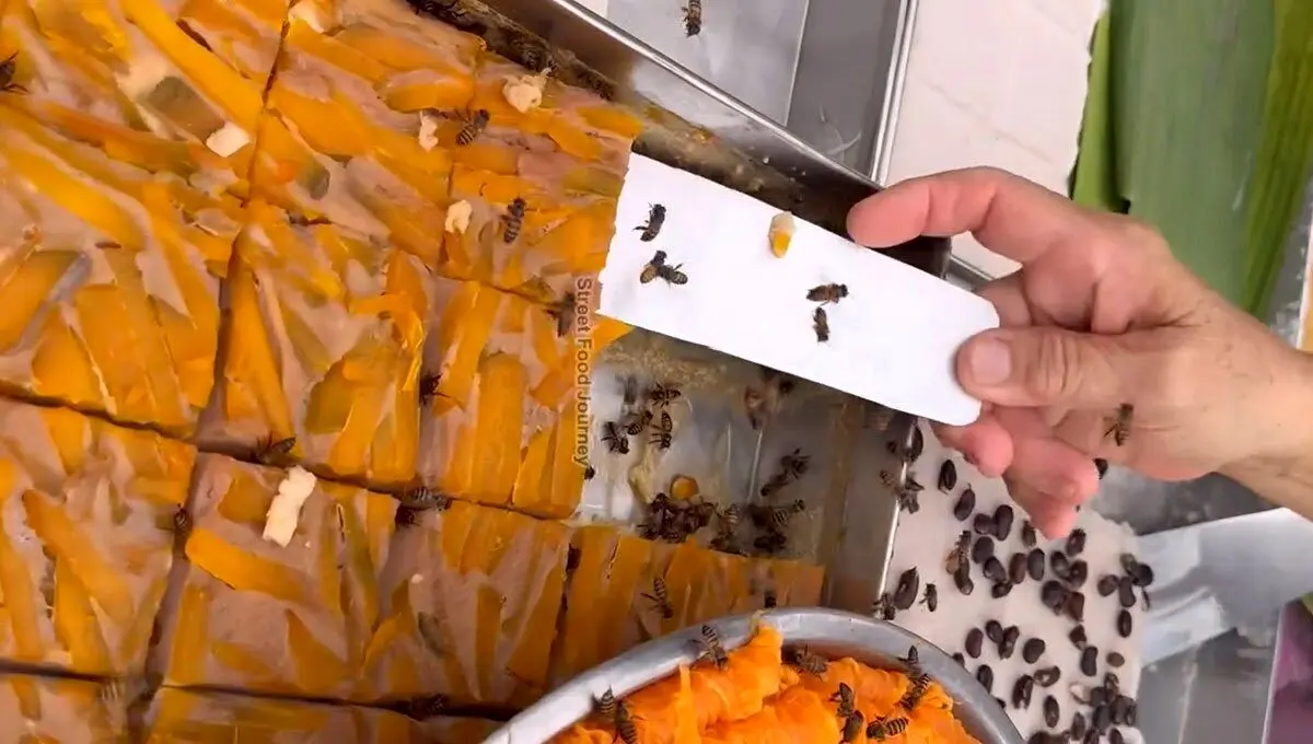 کیک و شیرینی که هر کسی حاضر به امتحان آن نیست؛ محبوب گردشگران در تایلند! + ویدئو