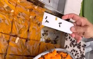 کیک و شیرینی که هر کسی حاضر به امتحان آن نیست؛ محبوب گردشگران در تایلند! + ویدئو