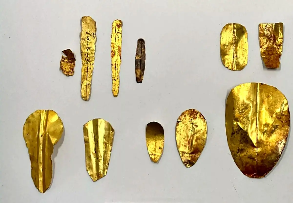 کشف حیرت انگیز ۱۳ مومیایی با زبان‌های طلایی