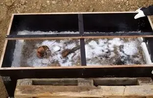 راز «شاهزاده یخی» برملا شد
