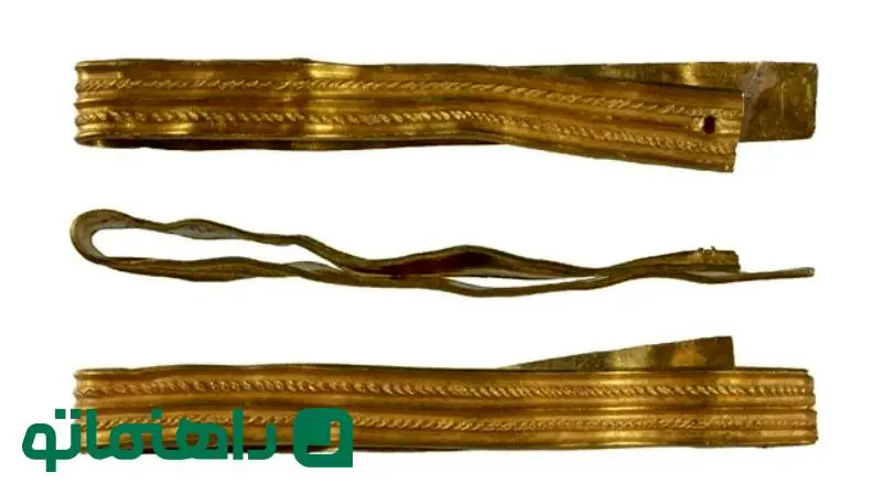 کشف یک گنج باستانی حیرت انگیز توسط پسربچه 12ساله