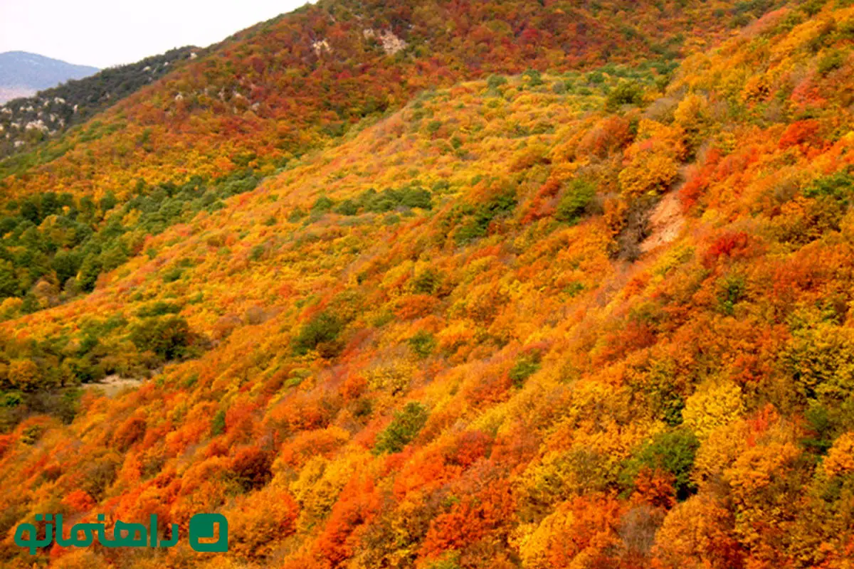 سفر شهریوری؛ مقاصد گردشگری شاهرود در ماه آخر تابستان