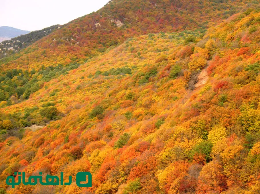 سفر شهریوری؛ مقاصد گردشگری شاهرود در ماه آخر تابستان
