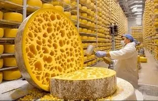 پنیر پارمزان چگونه تولید می شود؟ + ویدئو