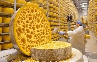 پنیر پارمزان چگونه تولید می شود؟ + ویدئو