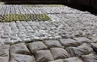 کشف بیش از ۳۰ کیلو گرم موادمخدر گُل از دل سنگ + ویدئو