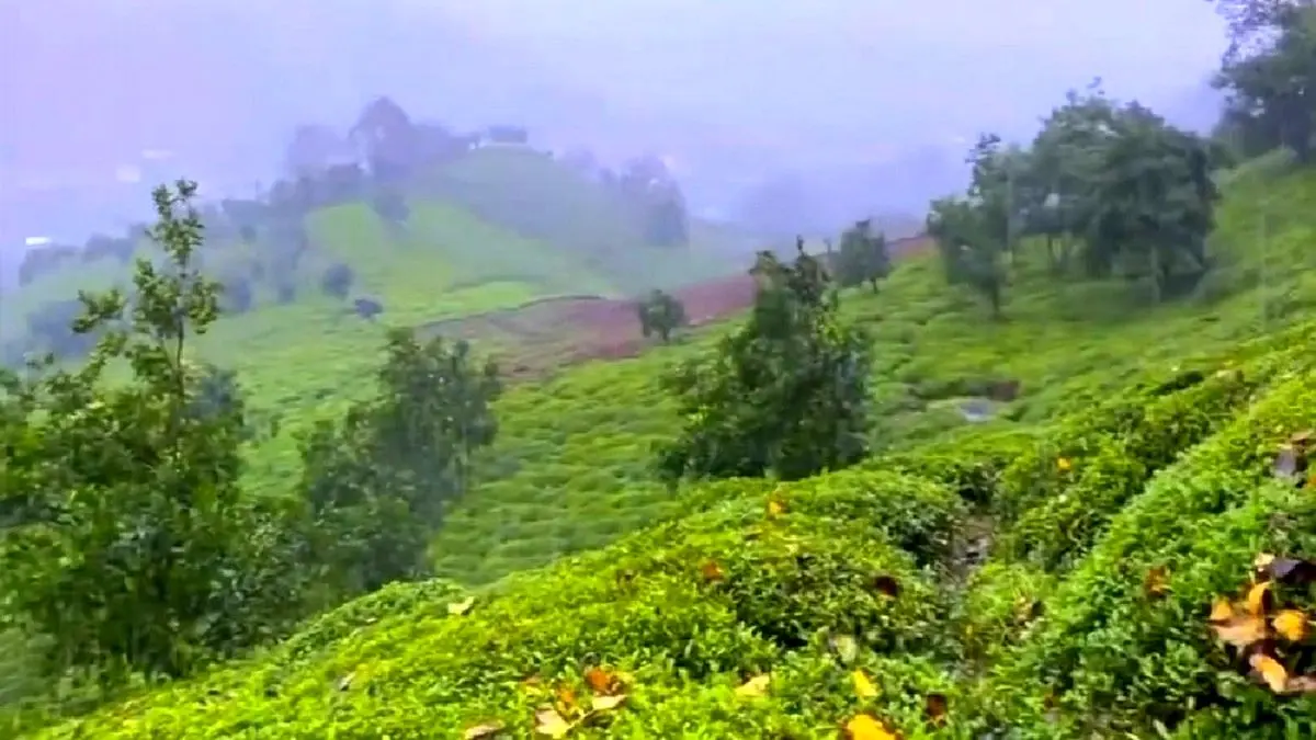 هواشناسی رشت؛ گیلان تا 15 درجه سرد می شود