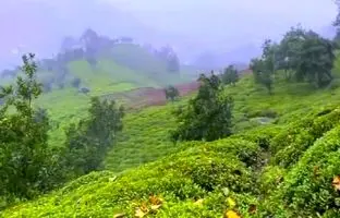 هواشناسی رشت؛ گیلان تا 15 درجه سرد می شود