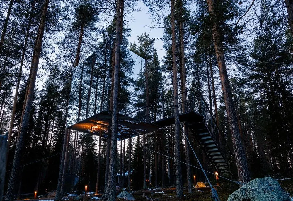 معماری استثنایی مدرن‌ترین «کلبه‌های درختی» جهان + تصاویر