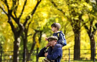 دانشمندان فرمول «یک روز عالی» را پیدا کردند 