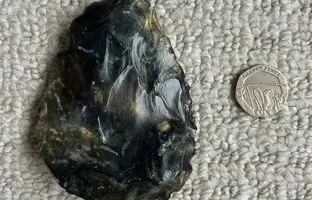 پسر بچه کنجکاو اتفاقی گنج پیدا کرد + عکس