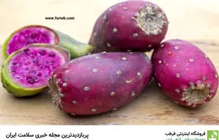 خواص میوه کاکتوس