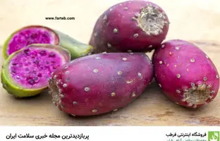 خواص میوه کاکتوس