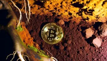 عجیب ولی واقعی: نیم میلیارد دلار بیت‌کوین در سطل زباله