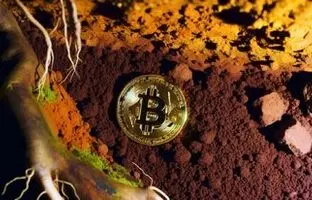 عجیب ولی واقعی: نیم میلیارد دلار بیت‌کوین در سطل زباله