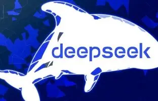 چگونه از هوش مصنوعی DeepSeek استفاده کنیم؟