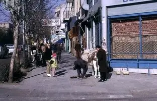  تهران قدیم؛ «مرد بارفروش با الاغ اش در خیابان فردوسی»؛ سال 52 + تصویر