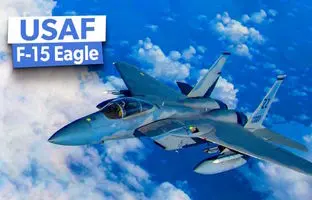 نیروی هوایی ایالات متحده چند فروند و چه نسخه هایی از جنگنده F-15 در اختیار دارد؟