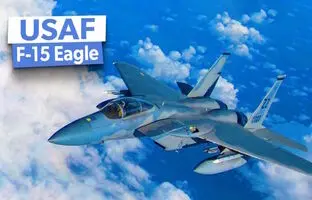 نیروی هوایی ایالات متحده چند فروند و چه نسخه هایی از جنگنده F-15 در اختیار دارد؟