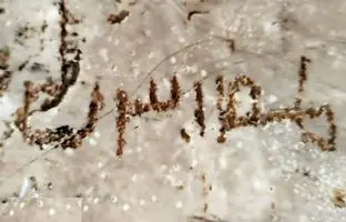 کشف کتیبه ای ساسانی در نکوهش «مهر دروجی» (پیمان شکنی) در مرودشت فارس 