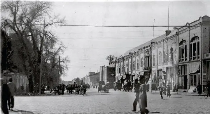 تهران قدیم/ عکسی قدیمی از چنارهای جوان خیابان ولیعصر