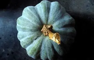 کدو تنبل آبی دیده بودید؟!