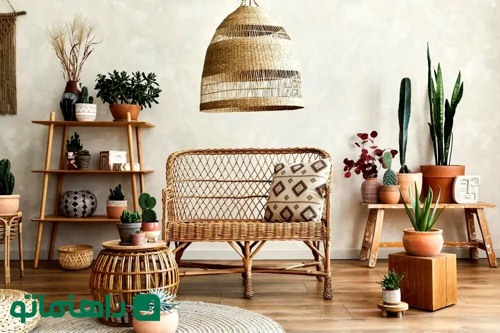 زیباترین گیاهان جهان برای دکوراسیون بوهو در خانه