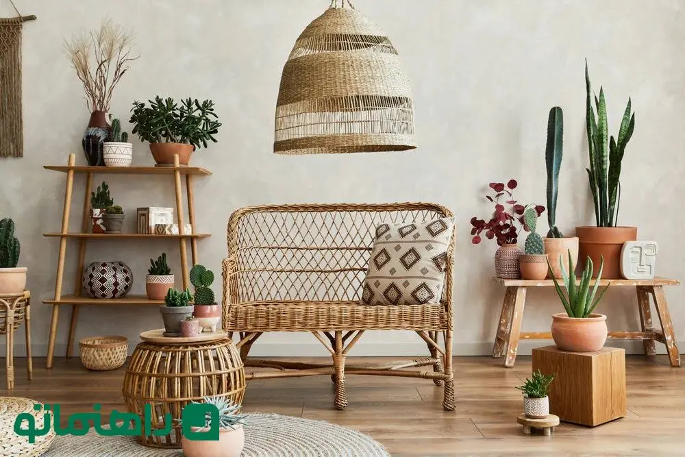 زیباترین گیاهان جهان برای دکوراسیون بوهو در خانه