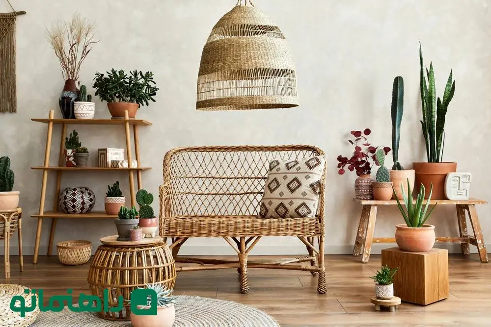 زیباترین گیاهان جهان برای دکوراسیون بوهو در خانه
