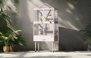 اولین قفس هوشمند پرندگان معرفی شد؛ تمیزکاری خودکار و تعویض آب و غذا  + ویدئو