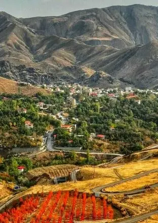 روستای کندر کجاست؟ بهشت لاله های رنگارنگ در نزدیکی تهران