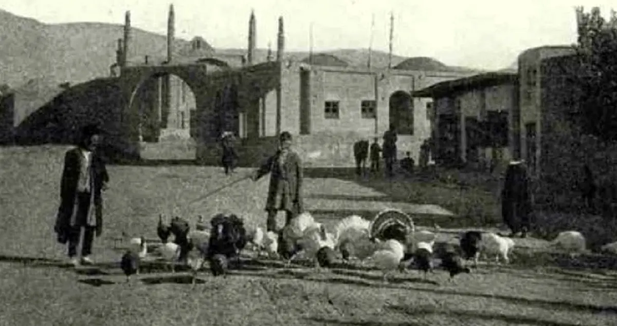  «بوقلمون چرانی» در خیابان ولیعصر؛ سال 1338 + تصویر