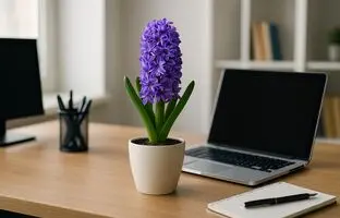 گل‌های بهاری ۱۴۰۴: سنبل، شور و انرژی را به اتاق کارت می‌آورد