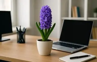 گل‌های بهاری ۱۴۰۴: سنبل، شور و انرژی را به اتاق کارت می‌آورد