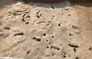 
کشف ردپاهای «عصر برنز»
