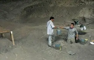 انسان‌ها هزاران سال قبل در این غار «آووکادو» خورده بودند