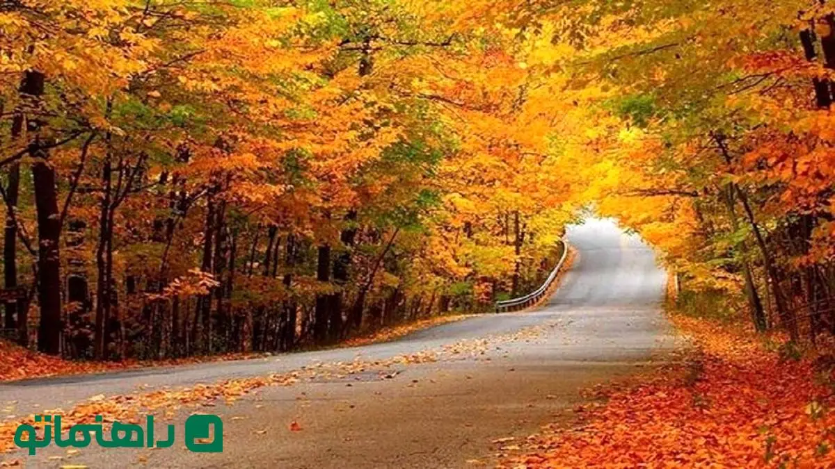 پاییز زودرس در زنجان: جاهایی که شهریور ماه رنگ عوض می‌کنند