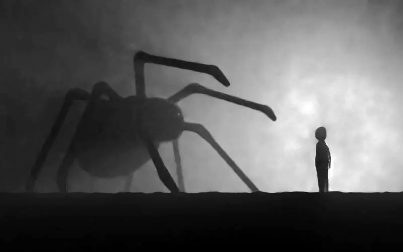 فوبیا چیست؟ + روش‌های درمان فوبیا