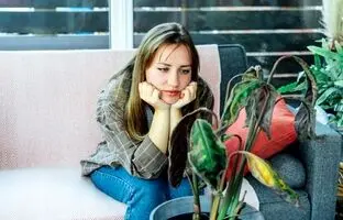 رازهای رشد نکردن گیاهان آپارتمانی؛ این 7 اشتباه را هرگز تکرار نکنید!