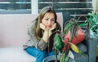 رازهای رشد نکردن گیاهان آپارتمانی؛ این 7 اشتباه را هرگز تکرار نکنید!