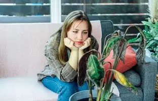 رازهای رشد نکردن گیاهان آپارتمانی؛ این 7 اشتباه را هرگز تکرار نکنید!