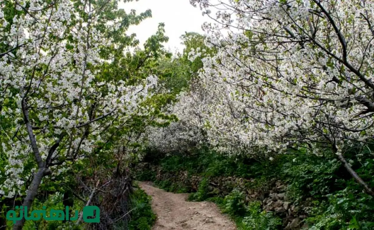 راهنمای سفر یک روزه به روستای آهار؛ پرشکوفه‌ترین روستای اطراف تهران