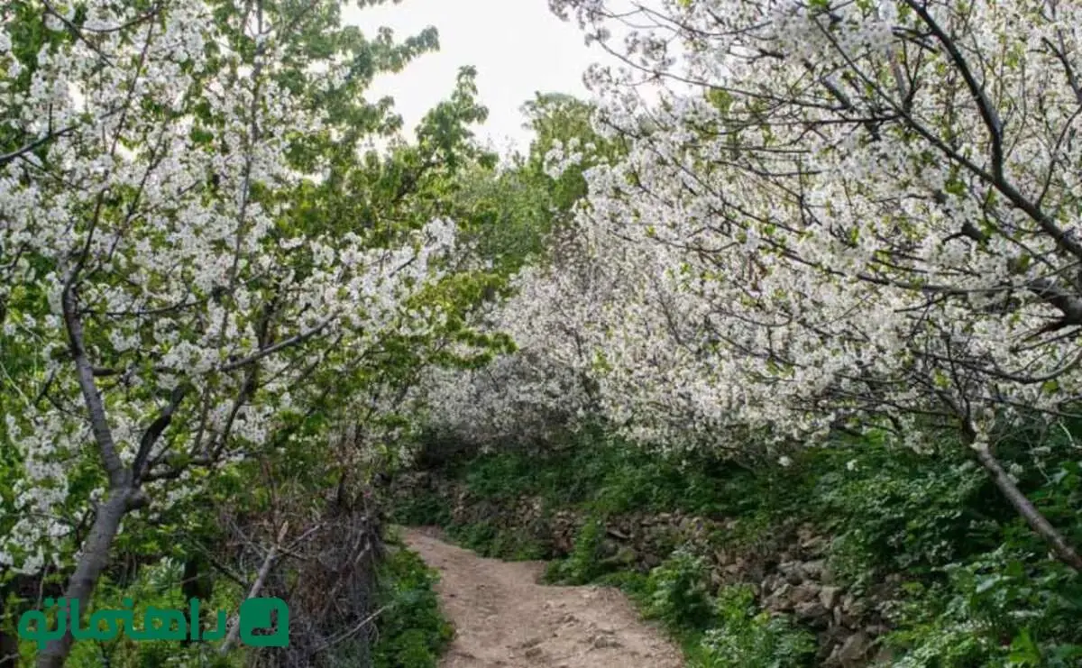 راهنمای سفر یک روزه به روستای آهار؛ پرشکوفه‌ترین روستای اطراف تهران