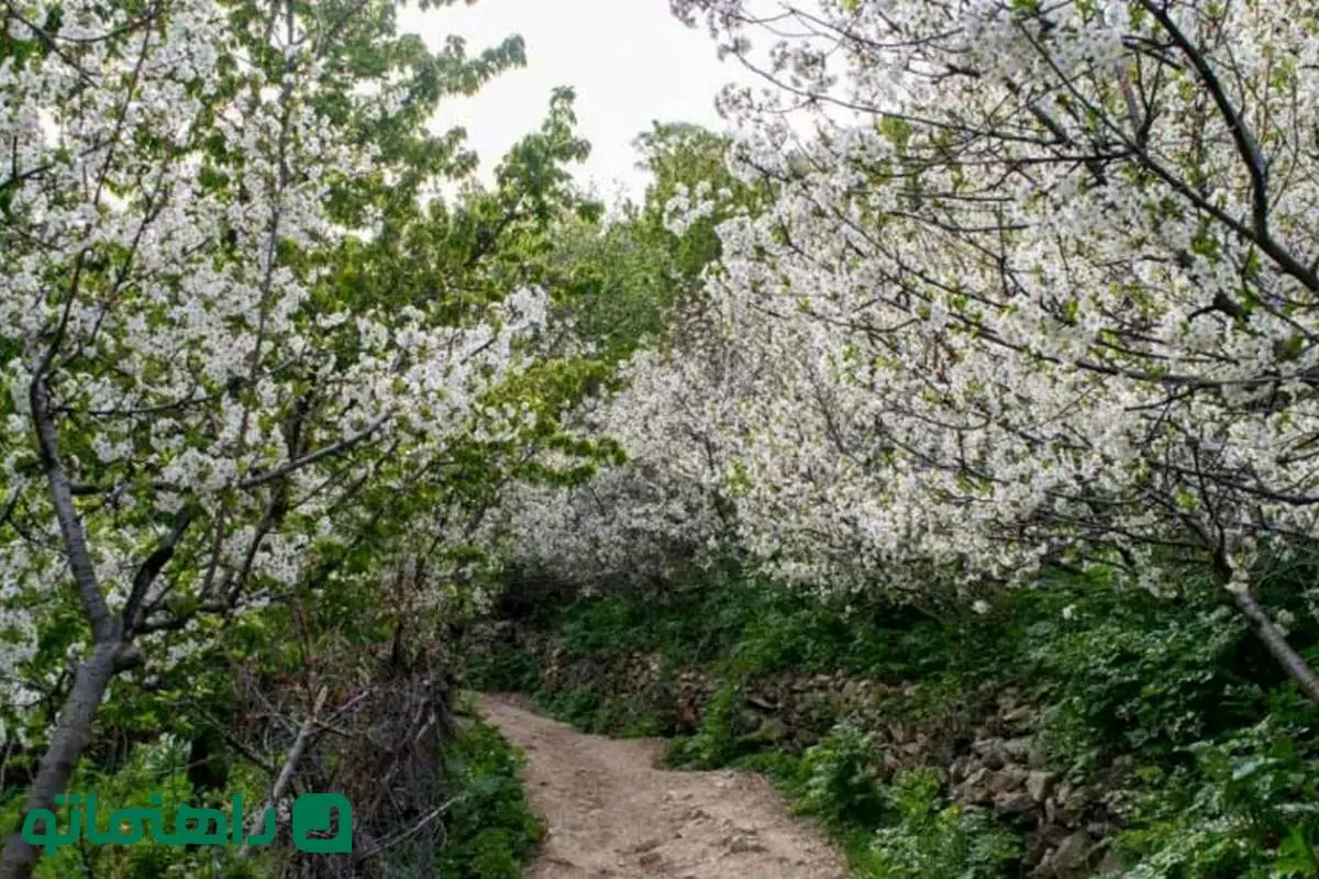 راهنمای سفر یک روزه به روستای آهار؛ پرشکوفه‌ترین روستای اطراف تهران