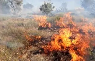 پارک ملی دز آتش گرفت + جزئیات و ویدئو