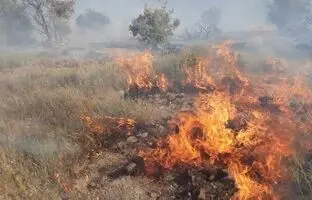 پارک ملی دز آتش گرفت + جزئیات و ویدئو