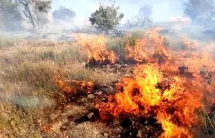 پارک ملی دز آتش گرفت + جزئیات و ویدئو