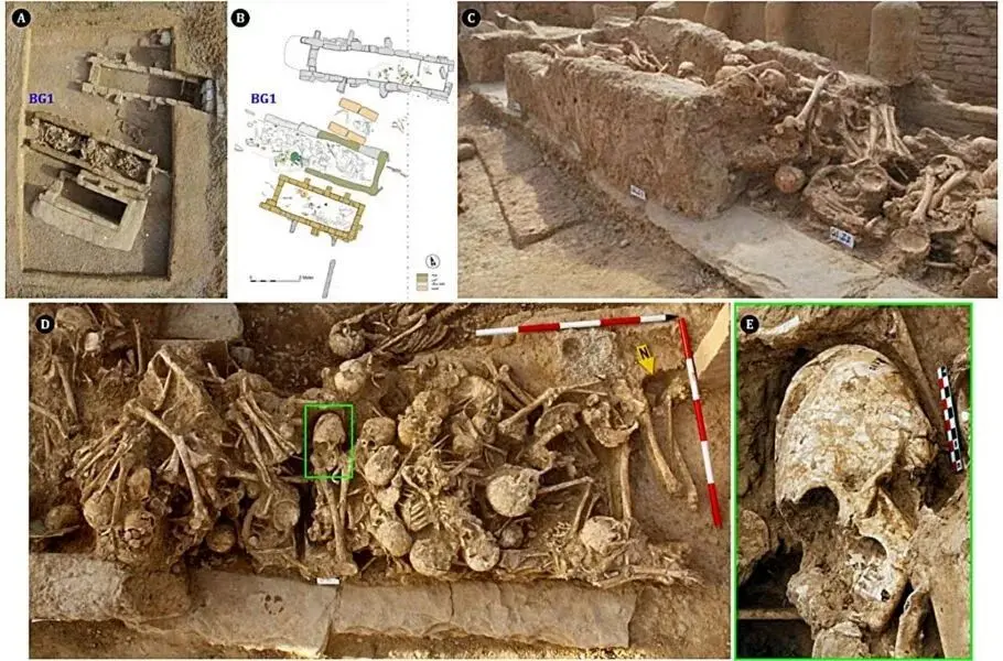 کشف باستانی در ایران: بقایای دختری با قدمت 6200 سال و جمجمه مخروطی‌شکل
