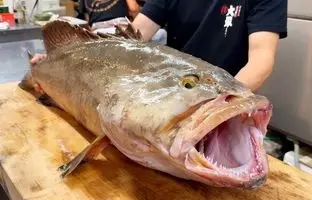 غذای خیابانی در ژاپن؛ برش و تهیه غذا با ماهی 17 کیلوگرمی + ویدئو