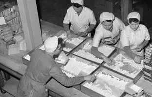 خط تولید عجیب کارخانه بیسکوئیت سازی در تهران نیم قرن پیش + تصویر